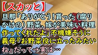 【スカッと】旦那「ありがとう！貰った（腐りかけの）野菜、嫁が美味い料理作ってくれたよ」不機嫌そうに義母『お野菜役に立ったみたいね』だって→実は・・・【痛快・スカッとジャパン!】