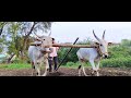 ladh re tu baliraja new marathi song shetkari marathi anthem video editor sopan suralkar