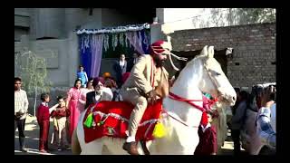 Punjabi Marriage Funny Video