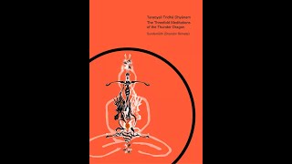 Презентация Сундернатхом (Шандором Ремете) @Shadow Yoga книги Триединые Медитации Громового Дракона