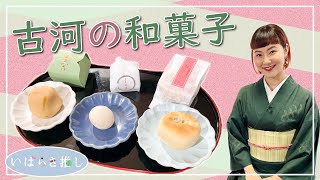 いばらき推し「古河の和菓子」（古河市）【出演：村上佳菜子さん】