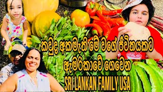 බලන්න කැමතිද මේවගේ ජීවිතයකට ඔයාලත් | සරළයි සුන්දරයි | Sri Lankan Family USA | Motivational Video |