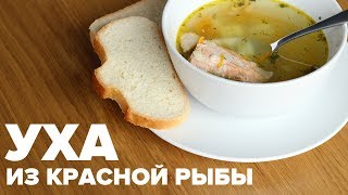 Уха из красной рыбы - рецепт