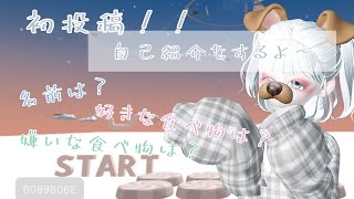 ぐだぐだ自己紹介！！【ゼペット】