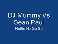 dj mummy vs sean paul nuttin no go so remix