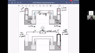 Chem 2C Cell Diagrams