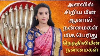 நெத்திலி மீன் இத்தனை நோய் தடுக்குமா? Nethili fish benefits in tamil/ Anchovy fish benefits in tamil