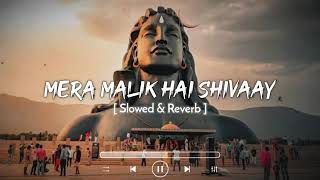 Mera Maalik Hai Shivaay[Slowed & Reverb] Krishna Chaturvedi | Kailashpati Hai Vo Bhajan Lofi #viral
