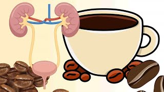 Uống cà phê mỗi ngày có tốt cho thận không | Báo Lao Động