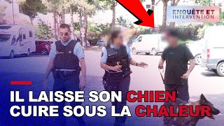 Il laisse son chien enfermé dans une voiture, la gendarme est FURIEUSE !