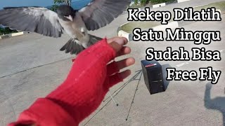 Baru Satu Minggu Keep Nekad Free Fly Kekep Out Door