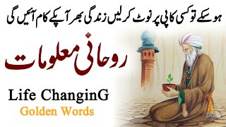 hikmat ki batain in urdu | hikmat | ilm ki baten | danai ki baten in urdu | #aqwal