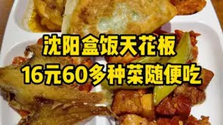 16元60多种菜随便吃，鸡鸭鱼牛羊猪肉全有，东北盒饭太丰盛了 东北美食 自助餐 盒饭