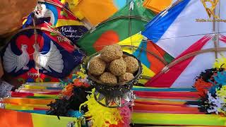 મકરસંક્રાંતિ /ઉતરાયણ સ્પેશિયલ | Makarsankranti celebration |@akashpatangevlogs9919