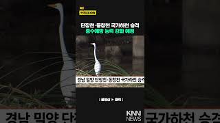 경남 밀양 단장천·동창천 국가하천 승격 / KNN