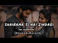 Shairana si hai zindagi faza || Slowed+Reverb || new hindi lofi mix song