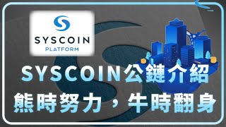 熊時努力，牛時翻身｜SYSCOIN 潛力公鏈介紹 Web 3.0優勢？