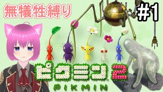 【ピクミン２】無犠牲クリアチャレンジ！【新人vtuber】４日目まで