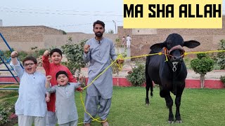 Hum Nay Qurbani ke liye Janwar la liya Cutest Ever Vlog | Eid ul Adha |