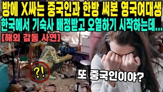 방에 X싸는 중국인과 한방 써본 영국여대생한국에서 기숙사 배정받고 오열하기 시작하는데...(또 중국인이야?..)