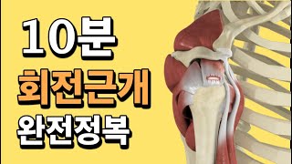 어깨 회전근개 근육공부, 10분 만에 완전 정복