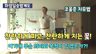 찬란하게 피고 찬란하게 지는 꽃! ㅣ 여기에 무슨 의미와 목적이 있겠는가?! ㅣ 조울증 치유법 ㅣ 이 세상은 100% 전도몽상 ㅣ 원효 vs 의상 ㅣ 화엄일승법계도 1