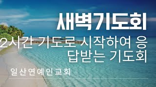 일산 연예인교회(백석)기도하시고 싶으신분 누구든지 오셔서 함께 나라와민족을 위해 기도 합시다~2025년  새벽기도회  새일을 행하실 주님을 믿고 응답받는  기도회 9일째