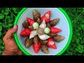 Hunting Snails, Red Snails | Hunt Snails And Find Unique Red Snail Shells