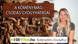 ❗ Érdemes köménymagot fogyasztani, mivel támogatja az emésztést! - hillvital.hu