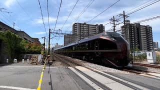 大類里道踏切にて、JR東日本E655系団体臨時列車 通過シーン