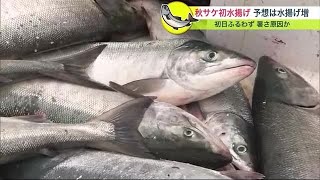 秋サケ定置網漁が解禁 初水揚げは前年より2.8トン少ない1.1トン…連日の暑さで海水温上昇が原因か「これから良くなれば」 (23/09/01 18:00)