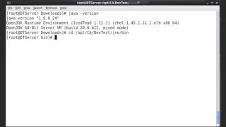 Checking Linux Java Version for DevTest Solutions 10.0
