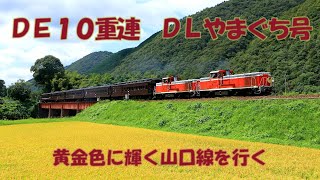 DE10重連　DLやまぐち号　～黄金色の山口線を行く～