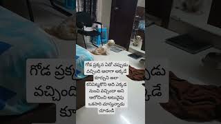 ఏదో సౌండ్ వచ్చిందని ఎలా చూస్తున్నాడో చూడండి