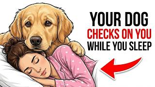 Why Your Dog Checks On You While You Sleep (The Truth Will Surprise You)