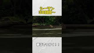 【シーマン】ひたすら練習・・・ 飼育日記38日目～ #shorts #シーマン #ペット