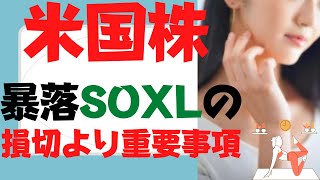 【SOXL】半導体ブル3倍が大暴落！早期償還リスクで損切これ大事！S\u0026P500,レバナス,テスラ株(TSLA),ナスダック100,TECL,SPXLよりエヌビディアでここから株価22倍があり得る!?