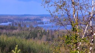 Etelä-Konneveden kansallispuisto Kalajanvuoren reitti - Southern Konnevesi National Park