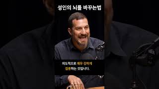 성인의 뇌를 바꾸는 방법 - 신경가소성 | 스탠포드 교수 앤드류 휴버맨 박사 (앤드류후버만) #앤드류휴버맨