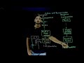 Cipher and Reverse Cipher in DES || Lesson 33 || Cryptography || Learning Monkey ||