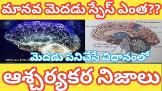 How much Human brain space \u0026మానవ మెదడు స్పేస్ ఎంత? \u0026 మానవ మెదడు పనీ చెసెవిధానంలో ఆశ్చర్యకర నిజాలు