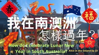 🌳Adelaide Vlog 14📍Ep.22|澳洲過農曆新年🎉2024龍年🔥Lunar New Year 2024 Celebrations in Adelaide, South Australia