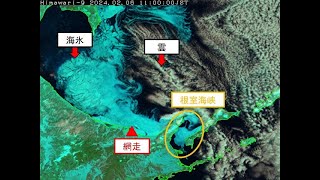 令和6年2月6日のオホーツク海の海氷