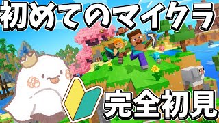 【マインクラフト🔰/完全初見】今日はみんなでお家つくる！！！人生初プレイしてみる！！👻初見さま大歓迎～！！少し参加型で慣れていきたい！　#5 【統合版/個人Vtuber】