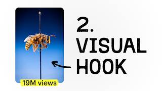 The 4 Hooks That Make You Stop Scrolling