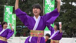 藤華連春日部『かみかわ華しぶき』／草加ふささら祭り 踊るん♪よさこい2019