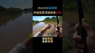 用三斤的蛇當魚餌，扔下河時還大嘴怒張，大魚直接把魚線拽折了！#shorts