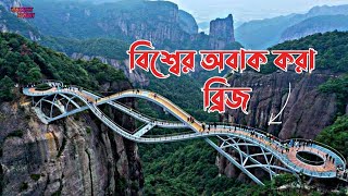 অবাক করা দৃষ্টিনন্দন ব্রিজ ||Most Beautiful Bridge || রহস্যের দরজা