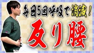 【反り腰】毎日20秒ストレッチするだけで治る！腰痛にも効く『正座呼吸』