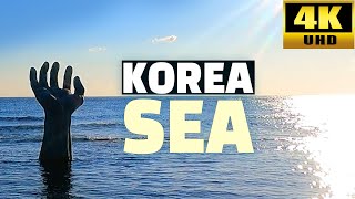 The sound of the sea in the East Sea, Korea Yeongdeok, 4K